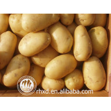 new Crop fresh potato/Fresh Round Shape and Potato Product Type potato prices